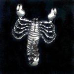 #36 scorpion sterling silver charm
